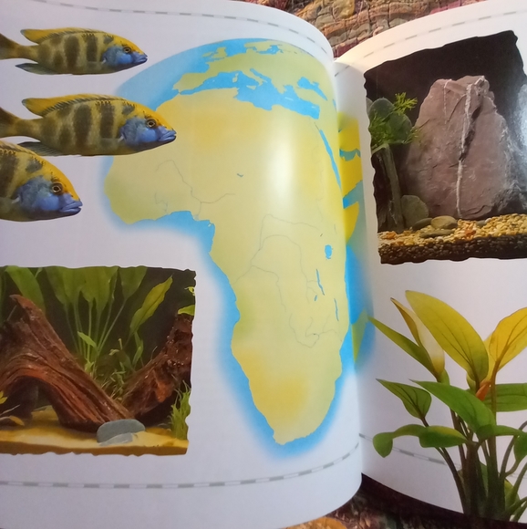 Aquarium Designs Inspired by Nature. Hardback - Picture 3 of 14
